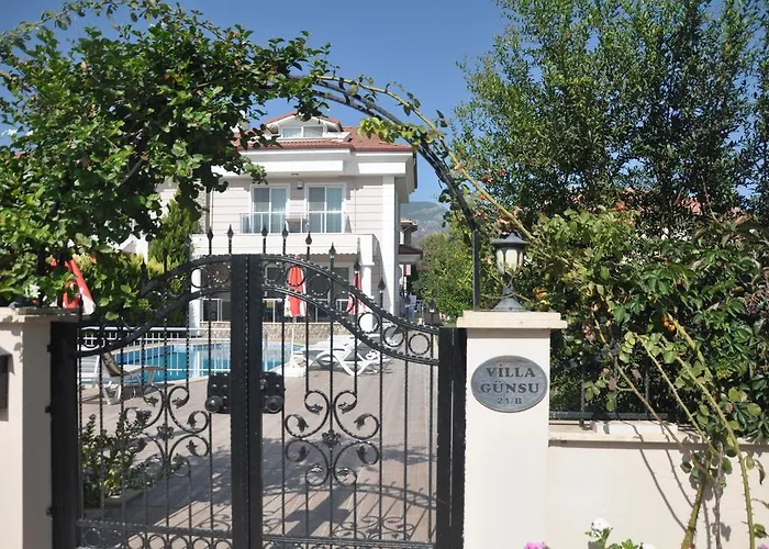 Guensu Ортаджа